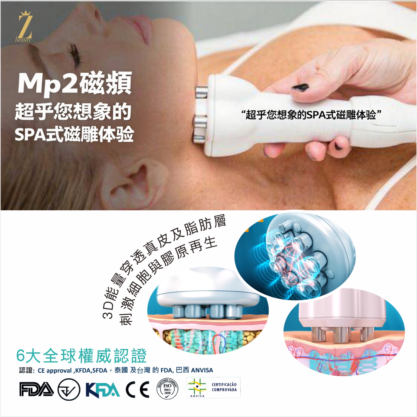 MP2磁頻